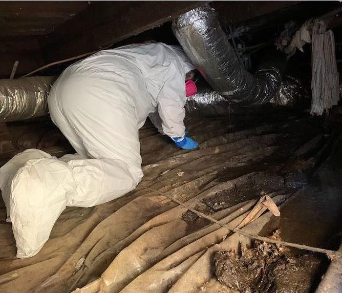 SERVPRO technicians in a crawlspace with sewage water