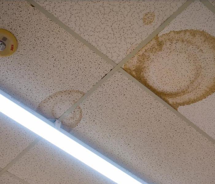 water damage spots on office ceiling