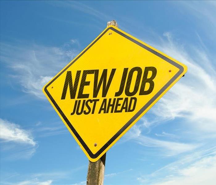 Picture of a yellow diamond shaped sign saying "new job just ahead."